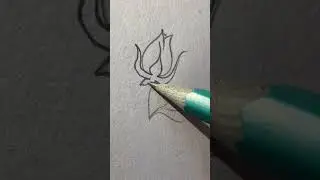 This Pencil Flower Will Calm Your Soul 🌸 (Wait Till the End)