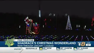 Ways to Find Your Fun to get you in the Christmas spirit