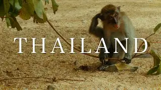 Selected iPhone footage of Thailand | Travel video shot in Apple ProRes Log