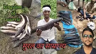 How to fishing videos|murrel fish|snakehead fish|kingdom of murrel|froge fishing |all fishing.