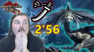 Aurora Somnacanth Speedrun Longsword Monster Hunter Rise Sunbreak