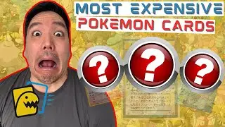 Top 3 Most Expensive Pokemon Cards in the World | RIPMOAR