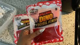 🦖 Dino Fossil Dig! Cracking Open Rocks With My Toy Hammer!