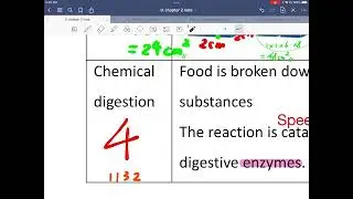 F3 BIO Ch 2 Types of digestion: physical and chemical digestion