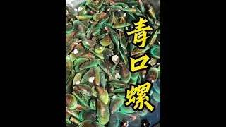 你们吃过青口螺吗？今天赶海捡青口螺！#新农人计划2024 #我的乡村生活 #赶海