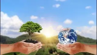 WORLD ENVIRONMENT DAY- 2021 STATUS