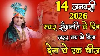 14 जनवरी 2026 मकर संक्रांति के दिन जरूर  गाय को खिला देना ये एक चीज 😱 धन आएगा कि संभल 😱 नहीं पाओगे
