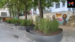 Tolle Einblicke in unser Projekt 