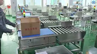 Big load weight Checkweigher machine for boxes with pusher rejector and rolloer conveyor #factory