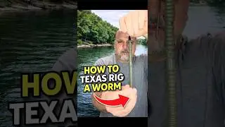 Stop Missing Bites &ndash; Texas Rig a Worm Like This