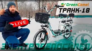 Многофункциональный электровелосипед GreenCamel Транк 18 | R18 350W 48V 10Ah