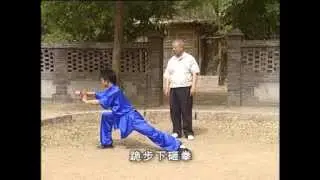 Taolu de Wu Bin niveau 1 - Informations