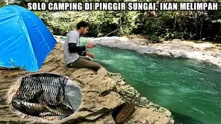 1 Hari 1 Malam Solo Camping Dan Mancing Di Pinggir Sungai Yang Indah/eps 4