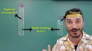 Herança Sexual - Módulo 21