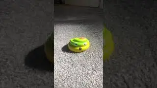 Experiment Sneakers  vs Poop Squishy |  Crunchy & Soft Things By Shoes #shorts