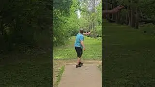 day 2 of attempting to record my first Michigan ace #innova #starvalkyrie #discgolf #Michigan #ace