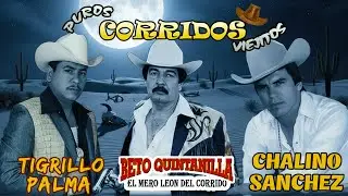 Chalino Sanchez, Beto Quintanilla y Tigrillo Palma Mix Para Pistear - Corridos Pesados Mix