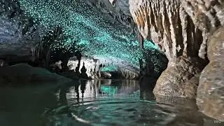 Glow Worm Caverns | Waitomo Caves NZ | Underground Stars Cinematic Experience