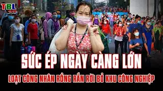 TP HCM tết 2026: Hàng trăm ngàn công nhân RỒNG RẮN RỜI BỎ KCN dù việc làm tăng 1 nửa