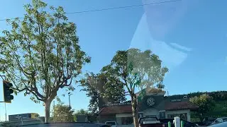 アメリカ修行‪Day7〜1week live in〜