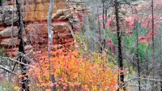Sterling Pass Trail - Sedona Hiking Trails