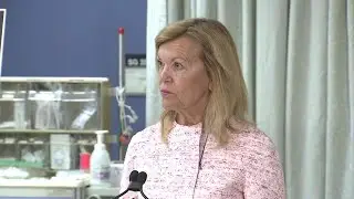 Health minister downplays Premier Ford's health care comments