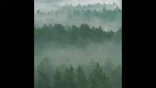 Lenovo ZUI 15 Background Sounds - Forest