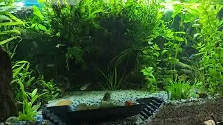 Neues von unseren Aquarien 