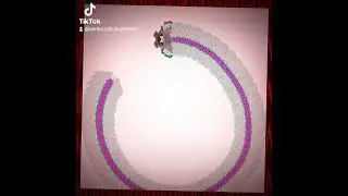 буду иногда сюда видосы из тиктока кидать #cell #celllab #lab #игры #клетки #существа