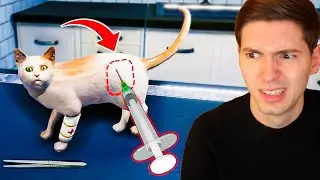 APLIQUEI uma INJEÇÃO NO GATINHO! (Canil Simulator) Animal Shelter