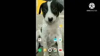 How to take stop motion in your Android phone (Tamil)