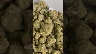 Zkittlez by The Tree CBD