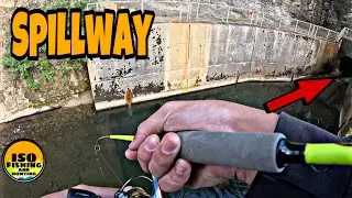 The Spillway Was LOADED With Trout!!!