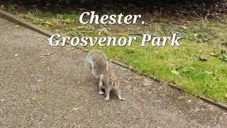 A walk through Grosvenor Park in Chester.