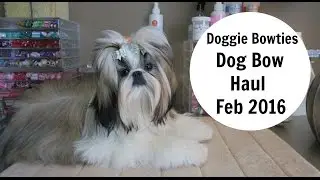 DOGGIE BOWTIES DOG BOWL HAUL FEB 2016