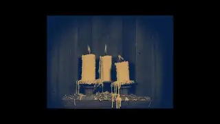 STONE EARTH --- A Wall of Pine (OFFICIAL VIDEO)
