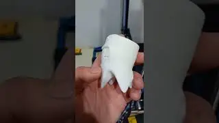 Timelapse 3d printing Smiling tooth creality ender 3 v2