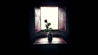 Testamentum eternum &middot; Ensemble Organum