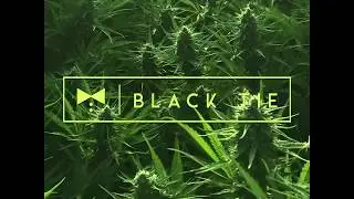 Black Tie CBD - Our Farms