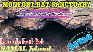 MONFORT BAT CAVE, tahanan ni BATMAN!! #batcave #batman #monfort  #bat #sanctuary #samaltour