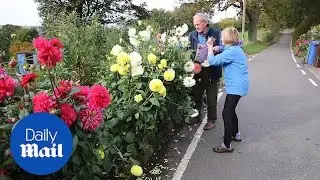Sheffield couple given one week to dig up 'dangerous' flower beds