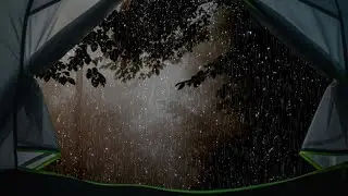 10 Hours Rainforest Rain at Night 🌿 Soft Tent Rain Sounds for Deep Sleep