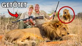 Diese 3 Tiere Nahmen RACHE an Brutalen J&auml;gern!