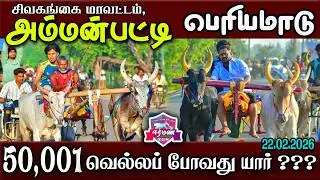 🔴LIVE(न्याला) | Sivaganga District | Ammanpatti | Periyamadu | Racing