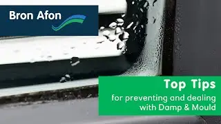 Top Tips on dealing with and preventing Damp and Mould in your home