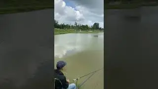 Hồ c&acirc;u c&aacute; h&ugrave;ng Xu&acirc;n Bắc