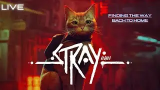 🔴LIVE - STRAY |  HOME එක හොයාගෙන යනවා යාලුවනේ #sinhalagameplay #dinustreaming #stray