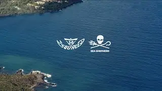 Squale X Sea Shepherd: Time To Protect What Matters