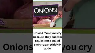 Why does Cutting Onions Make us Cry #shorts #short #onlinelearning #factshorts #trending #trend