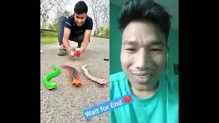 my Reaction #rcsnake #snake #experiment #toys #ruhulshorts #shortsyoutub @ruhulshorts